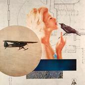 11-9-18-un-common-raven-14-11-collage-and-mixed-media-678