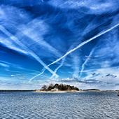 Img-2920