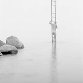 Ladderself1-sm